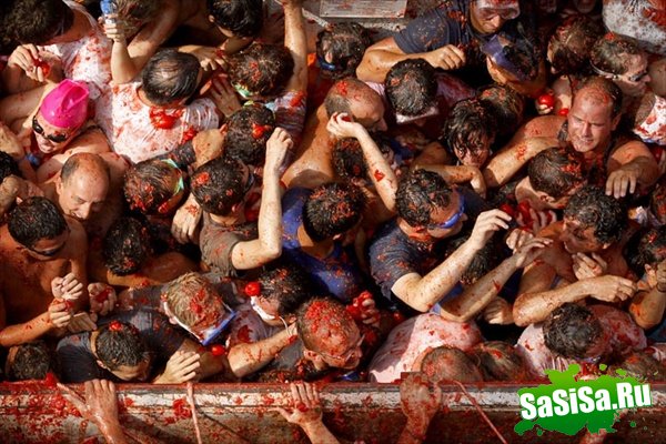     (La Tomatina)   (10 )