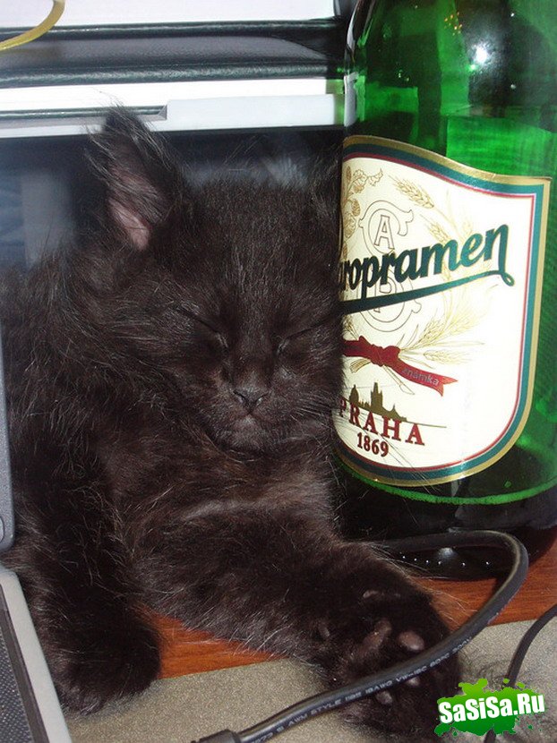 Укошек тоже пятница!:) (8 фото)