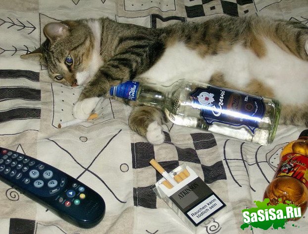 Укошек тоже пятница!:) (8 фото)