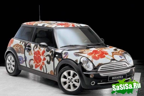   MINI (9 )