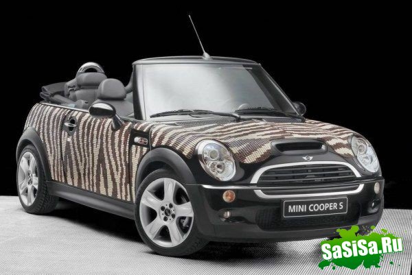   MINI (9 )