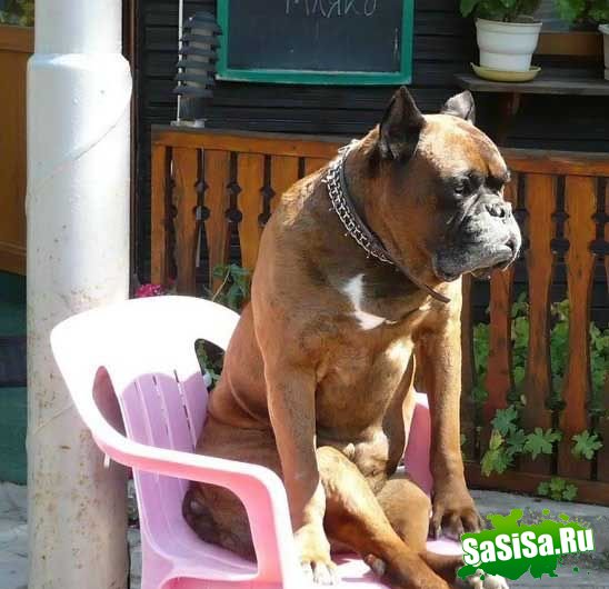 Фотоподборка (дальше в развёрнутом виде)