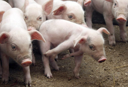 ����-�������, ��� �� ��� � ����� ���������? �������! (3 ���� + �����)