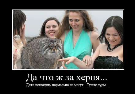 Отжабили девочек:) (10 фото)