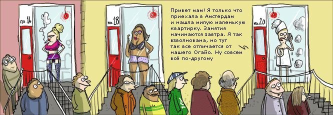  (   )