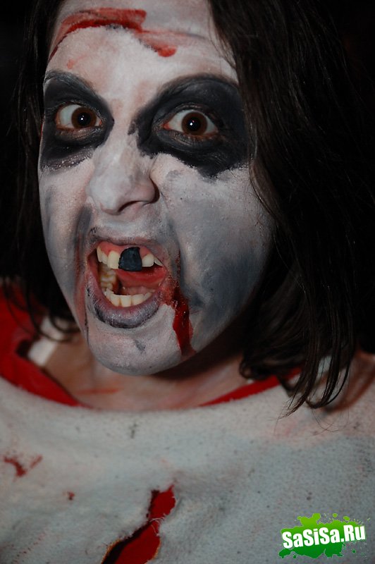   Halloween 2008    (15 )