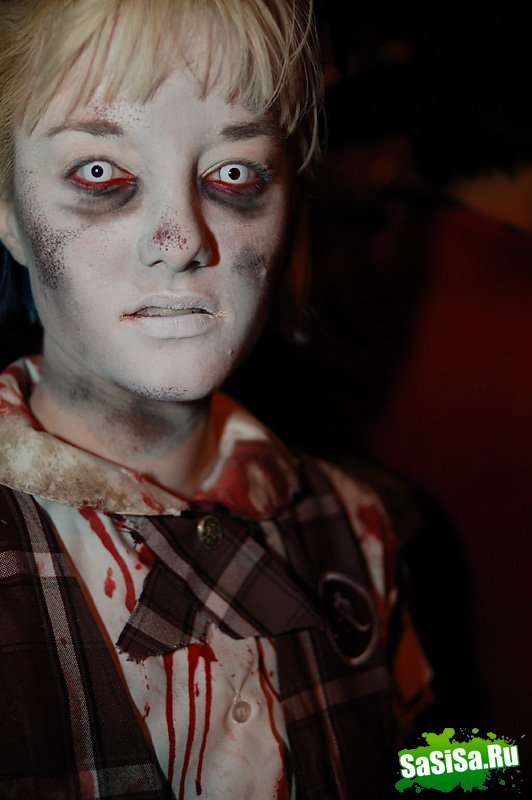   Halloween 2008    (15 )
