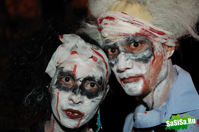   Halloween 2008    (15 )
