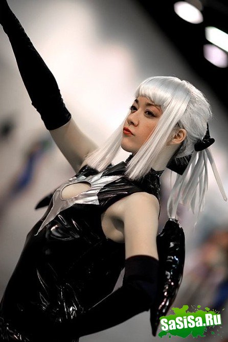 Anime Expo 2008 (20 фото)
