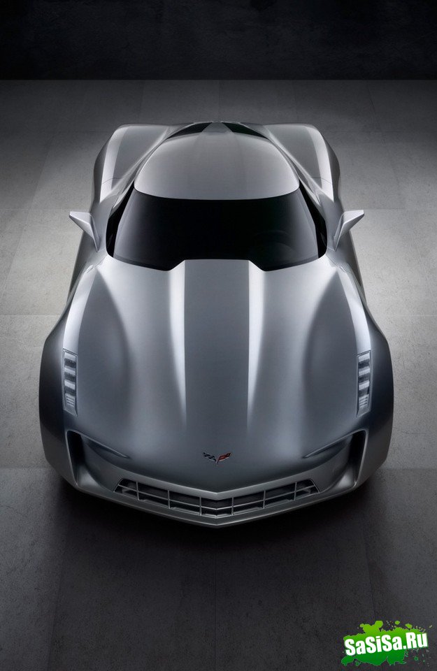 Chevrolet Corvette Stingray Sideswipe 2009 (8 )