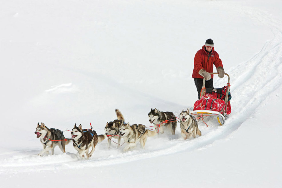 Nature Best Photography - Winter (14 )