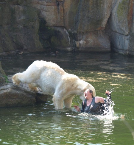      ... (Berlin Zoo) (1  + )