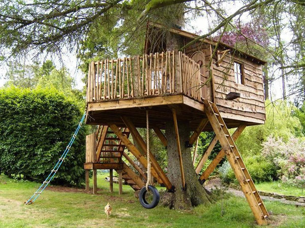     Amazon Tree Houses (14 )