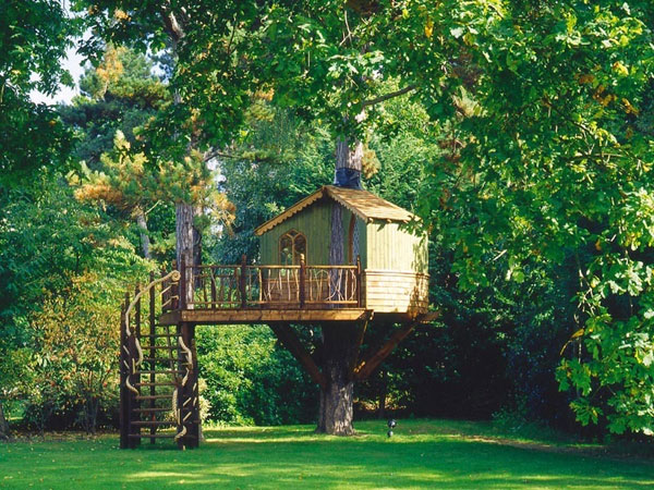     Amazon Tree Houses (14 )