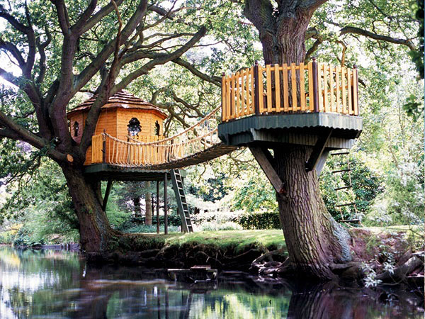     Amazon Tree Houses (14 )