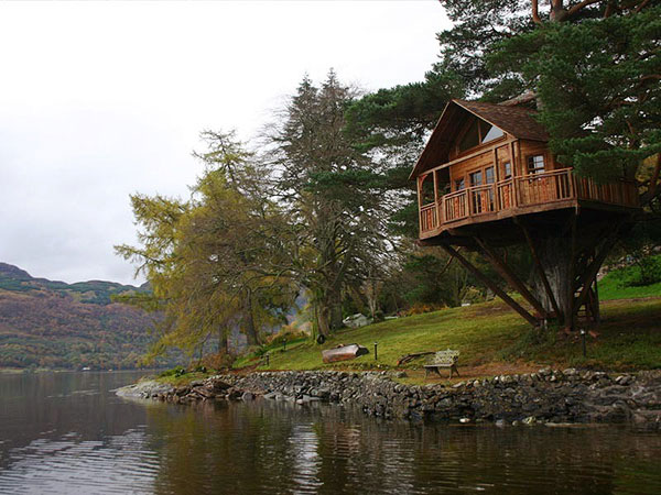     Amazon Tree Houses (14 )