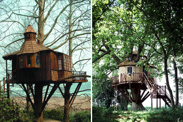     Amazon Tree Houses (14 )