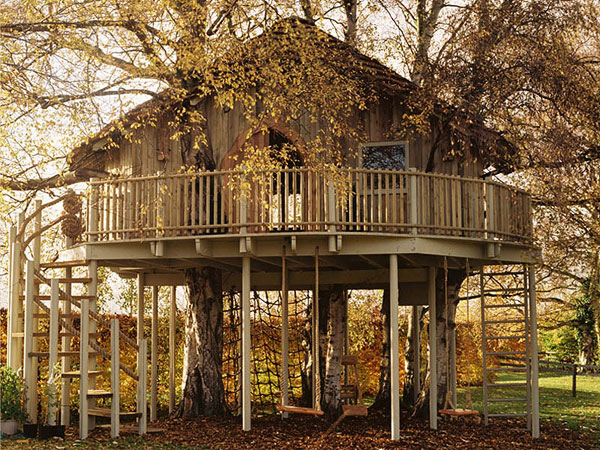     Amazon Tree Houses (14 )