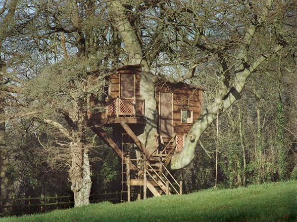     Amazon Tree Houses (14 )