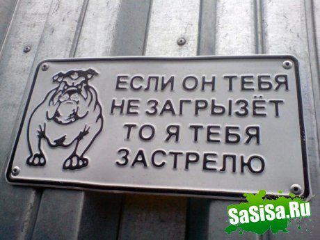 Фотоподборка (дальше в развёрнутом виде)
