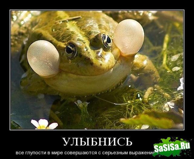  (   )
