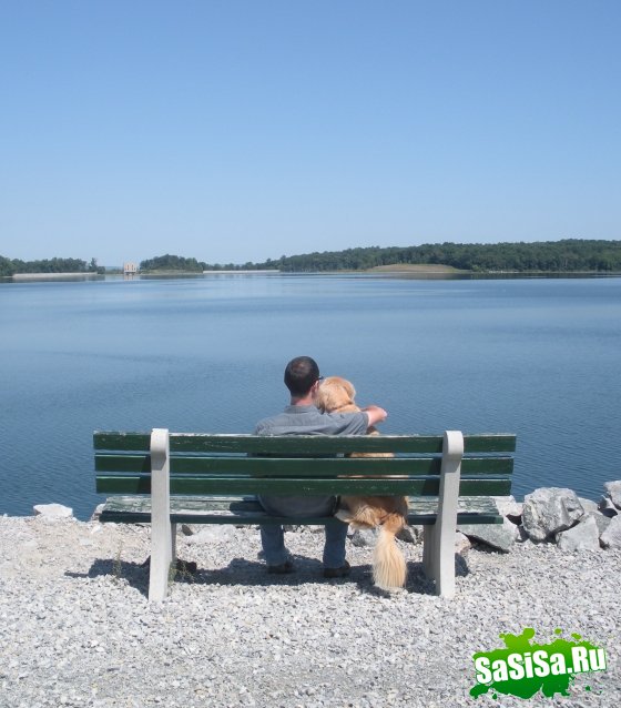 Фотоподборка (дальше в развёрнутом виде)