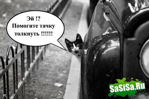 Фотоподборка (дальше в развёрнутом виде)
