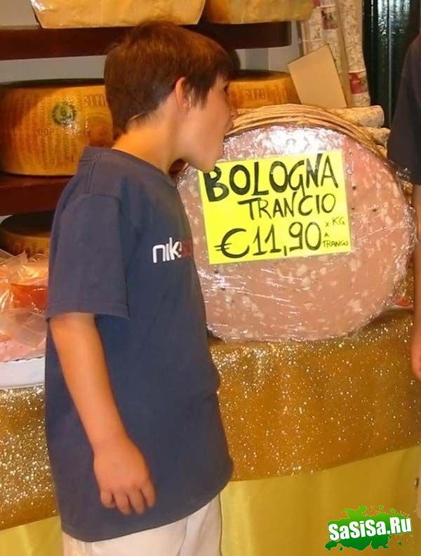   Bologna Tracio (10 )