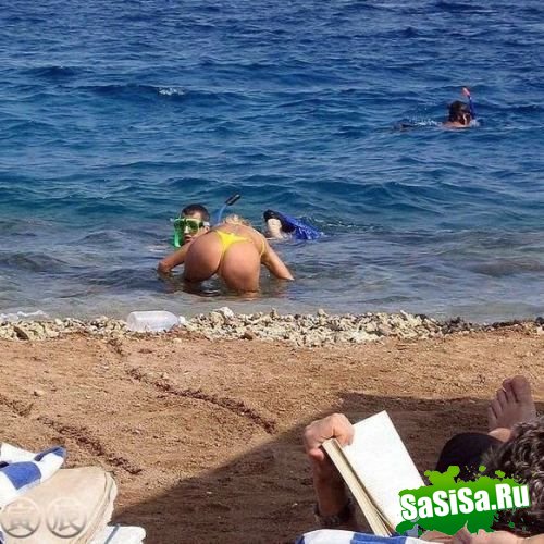 Фотоподборка (дальше в развёрнутом виде)