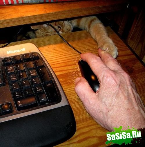 Фотоподборка (дальше в развёрнутом виде)