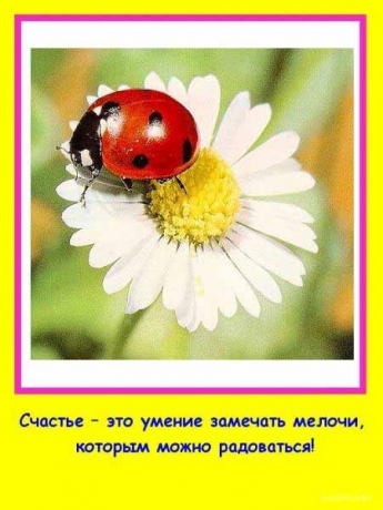 Что такое счастье... (12 фото)