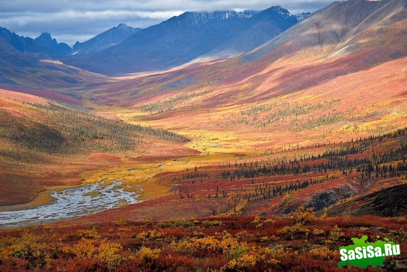 Краски осени - невероятно красивые фотографии! (20 фото)