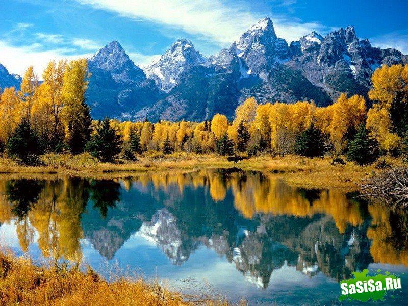 Краски осени - невероятно красивые фотографии! (20 фото)