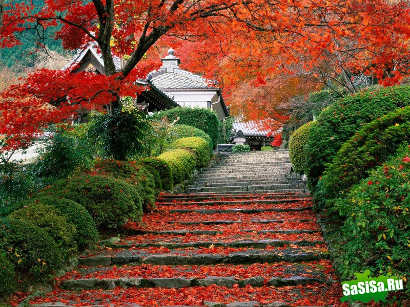 Краски осени - невероятно красивые фотографии! (20 фото)