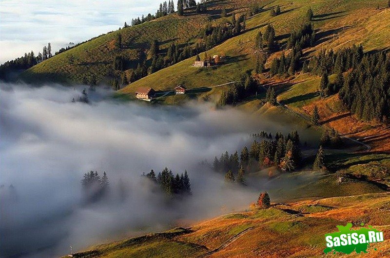 Краски осени - невероятно красивые фотографии! (20 фото)