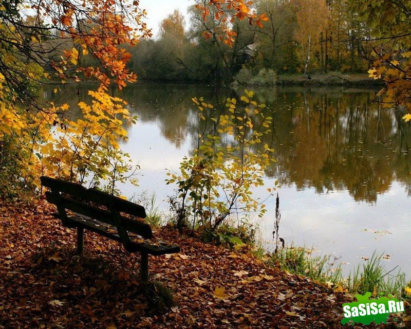 Краски осени - невероятно красивые фотографии! (20 фото)