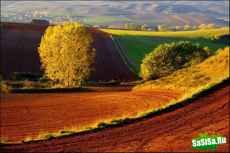 Краски осени - невероятно красивые фотографии! (20 фото)