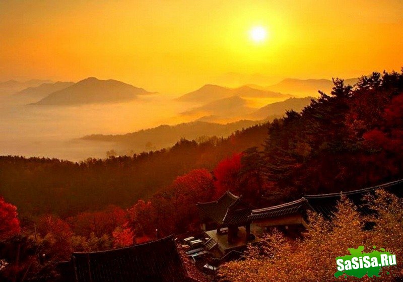 Краски осени - невероятно красивые фотографии! (20 фото)