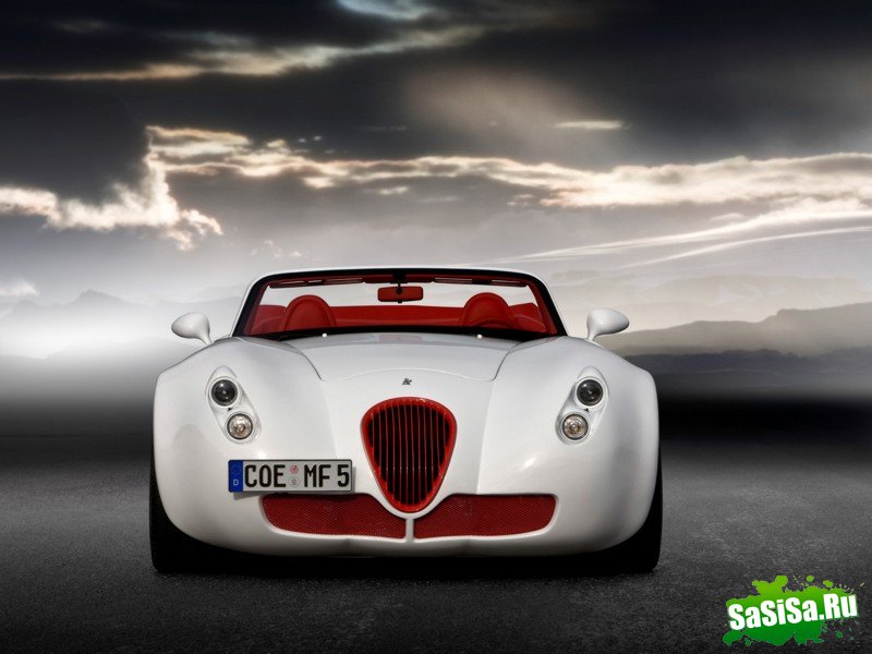 Wiesmann Roadster 2010 (10 )