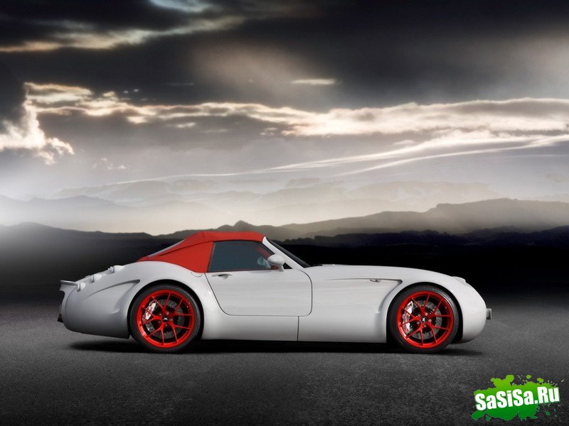 Wiesmann Roadster 2010 (10 )