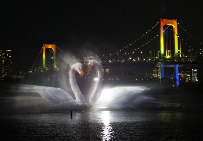 Odaiba water illumination   (2 )