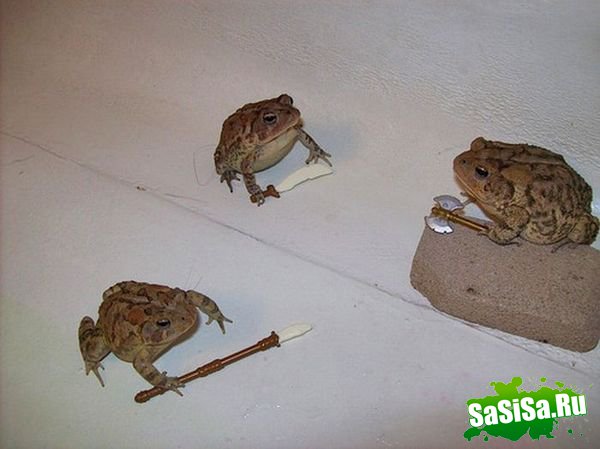  (   )