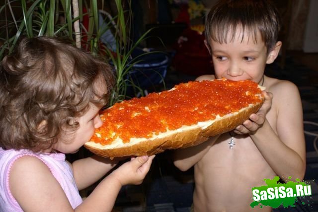 Фотоподборка (дальше в развёрнутом виде)