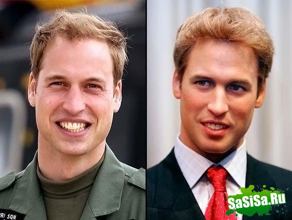      Tussauds (49 )