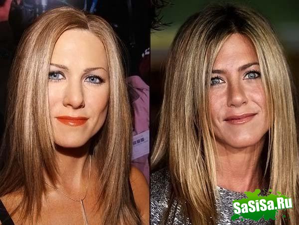      Tussauds (49 )