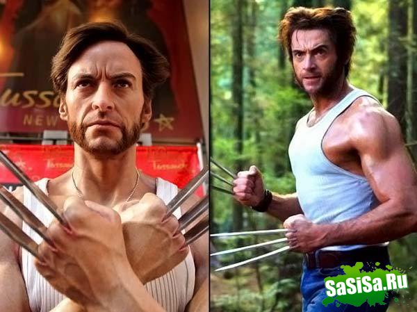      Tussauds (49 )