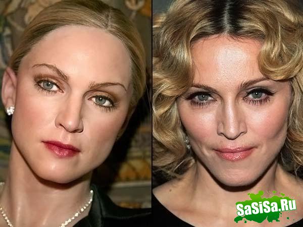      Tussauds (49 )