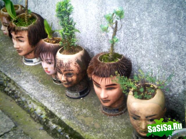  (   )