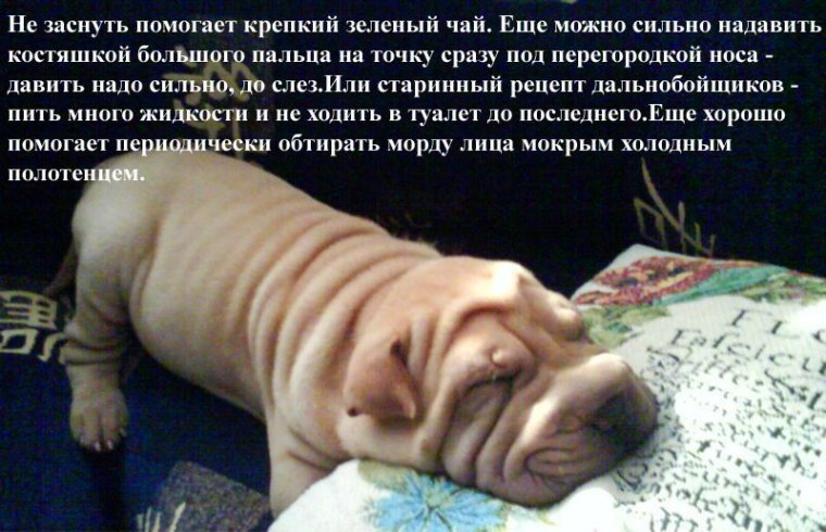 Прикольные советы и хитрости (16 фото)