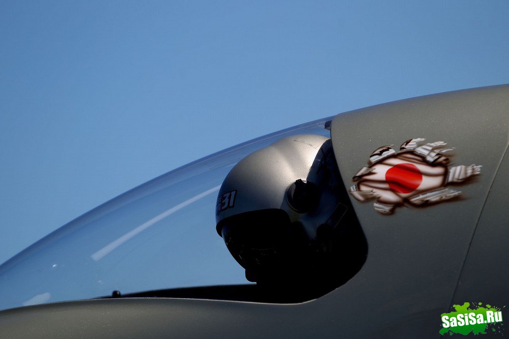   Red Bull   (15 )